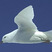 Snow Petrel